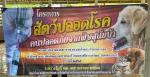 ฉีดวัคซีนโรคพิษสุนัขบ้า ประจำปีงบประมาณ พ.ศ.๒๕๖๘