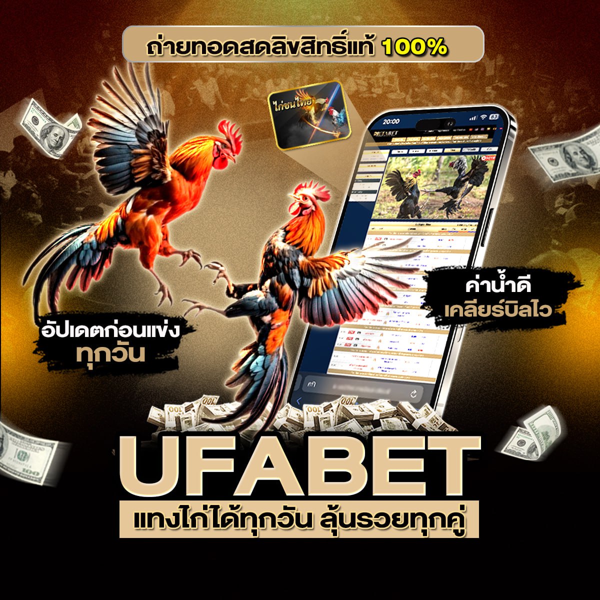 ���꡷���Ҿ