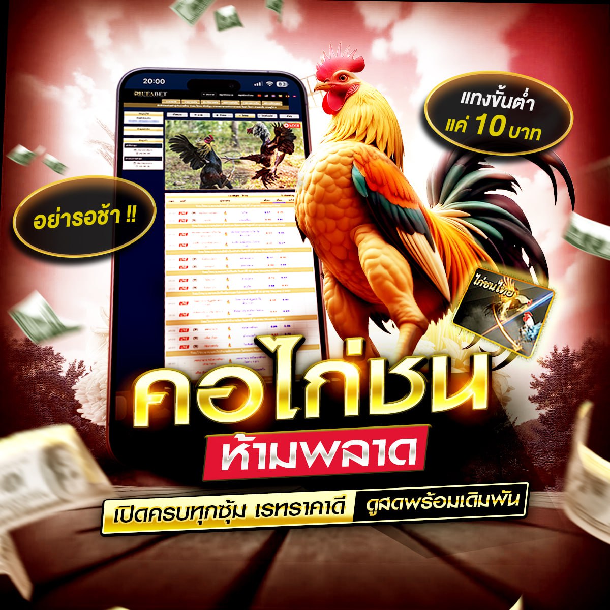 ���꡷���Ҿ